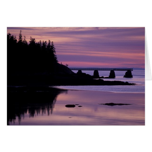 Noord-Amerika, VS, ME, Isle Au Haut. Duck (Voorkant Horizontaal)