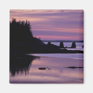 Noord-Amerika, VS, ME, Isle Au Haut. Duck Magneet