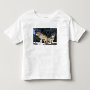 Noord-Amerika, VS, Minnesota. Wolf Canis 2 Kinder Shirts