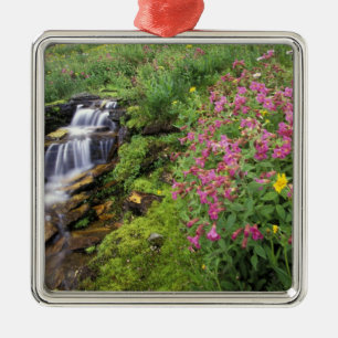 Noord-Amerika, VS, Montana, Glacier National 4 Metalen Ornament