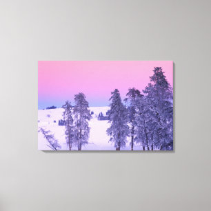 Noord-Amerika, VS, Montana, Yellowstone Canvas Afdruk