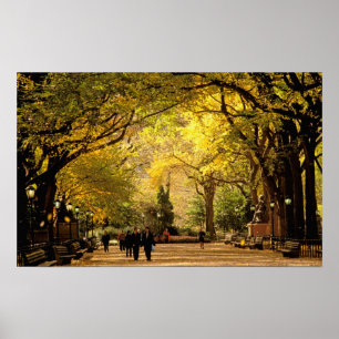 Noord-Amerika, VS, New York, New York City. 12 Poster