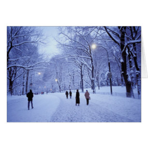 Noord-Amerika, VS, New York, New York City. 8