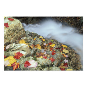 Noord-Amerika, VS, NH, Herfst in New England. Foto Afdruk