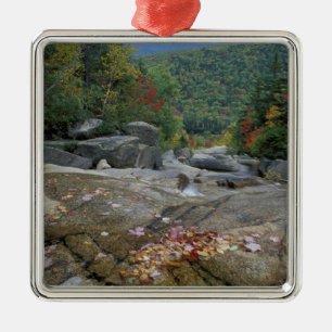 Noord-Amerika, VS, NH, Herfstkleuren in New Metalen Ornament