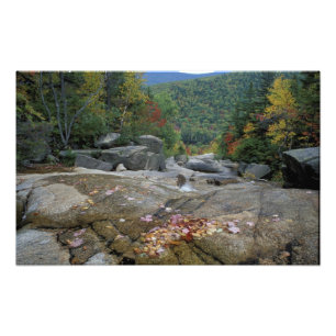 Noord-Amerika, VS, NH, Herfstloof in New Foto Afdruk