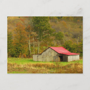 Noord-Amerika, VS, North Carolina, platteland Briefkaart