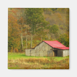 Noord-Amerika, VS, North Carolina, platteland Magneet