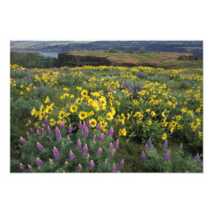 Noord-Amerika, VS, Oregon, Columbia River 2 Foto Afdruk