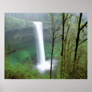 Noord-Amerika, VS, Oregon, Silver Falls State Poster