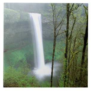 Noord-Amerika, VS, Oregon, Silver Falls State Tegeltje