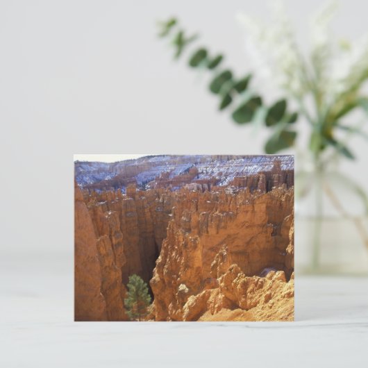 Noord-Amerika, VS, Utah, Bryce Canyon 2 Briefkaart (Staand voorkant)