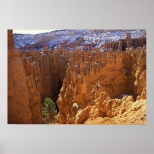 Noord-Amerika, VS, Utah, Bryce Canyon 2 Poster