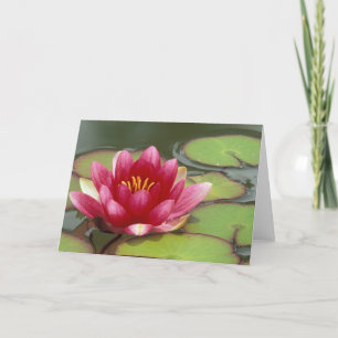 Noord-Amerika, VS, WA, Seattle, Woodland Park Kaart