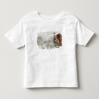 Noord-Amerika, VS, WA, Whidbey Island. Kinder Shirts