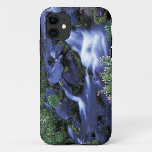 Noord-Amerika, VS, Washington, Mt. Rainier 3 Case-Mate iPhone Case (Achterkant)