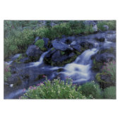 Noord-Amerika, VS, Washington, Mt. Rainier 3 Snijplank (Voorkant)