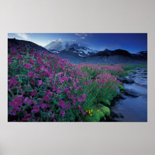 Noord-Amerika, VS, Washington, Mt. Rainier 6 Poster