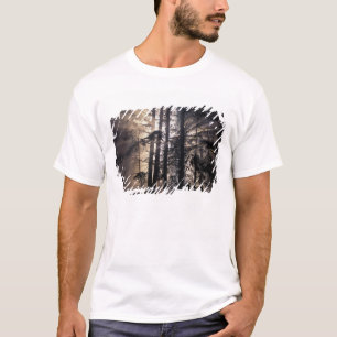 Noord-Amerika, VS, Washington, Olympic NF, T-shirt