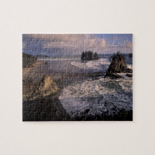 Noord-Amerika, VS, Washington, Olympic NP, Legpuzzel