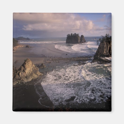 Noord-Amerika, VS, Washington, Olympic NP, Magneet (Voorkant)