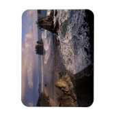 Noord-Amerika, VS, Washington, Olympic NP, Magneet (Verticaal)