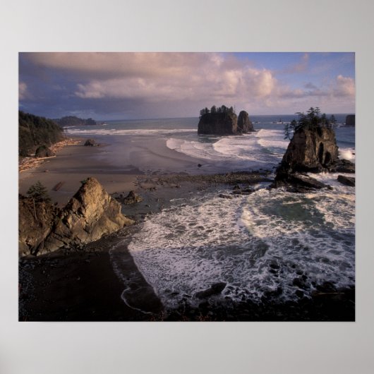 Noord-Amerika, VS, Washington, Olympic NP, Poster (Voorkant)