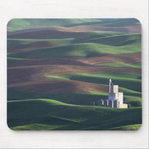 Noord-Amerika, VS, Washington, Palouse. De Muismat