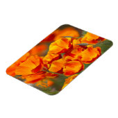 Noord-Amerika, VS, Washington, Seattle Magneet (Linkerzijde)