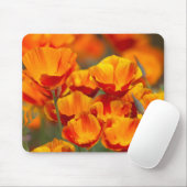 Noord-Amerika, VS, Washington, Seattle Muismat (Met muis)