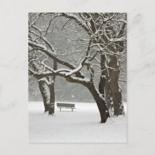 Noord-Amerika, VS, Washington, Seattle, sneeuw 2 Briefkaart