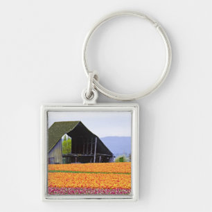 Noord-Amerika, VS, Washington, Skagit Valley. 2 Sleutelhanger