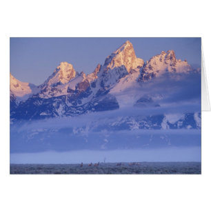 Noord-Amerika, VS, Wyoming, Grand Teton NP, 2
