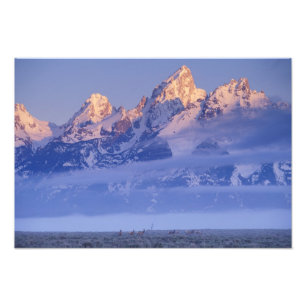 Noord-Amerika, VS, Wyoming, Grand Teton NP, 2 Foto Afdruk