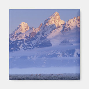 Noord-Amerika, VS, Wyoming, Grand Teton NP, 2 Magneet