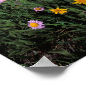 Noord-Amerika, VS, Wyoming, Yellowstone 2 Poster (Hoek)