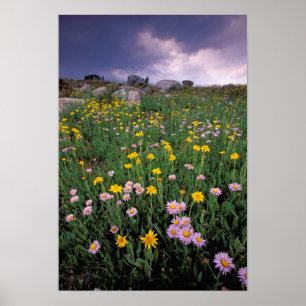 Noord-Amerika, VS, Wyoming, Yellowstone 2 Poster