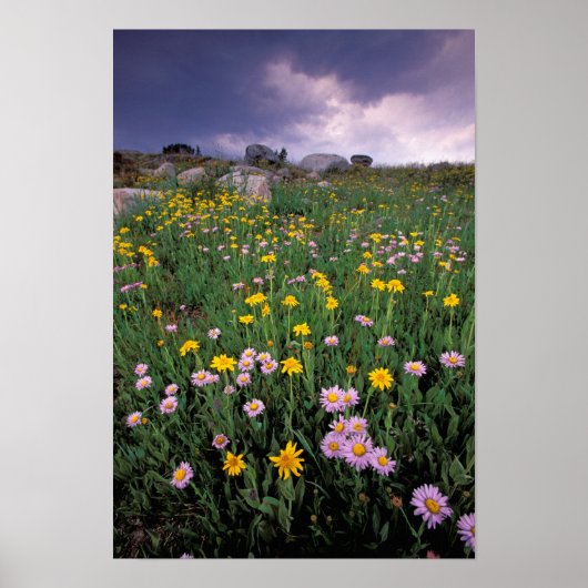 Noord-Amerika, VS, Wyoming, Yellowstone 2 Poster (Voorkant)