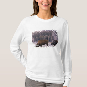 Noord-Amerika, VS, Wyoming, Yellowstone NP, T-shirt