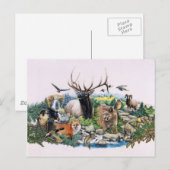 Noord-Amerikaans Wildlife Briefkaart (Voorkant / Achterkant)