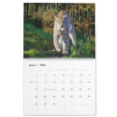 Noord-Amerikaans Wildlife Kalender (Mar 2026)