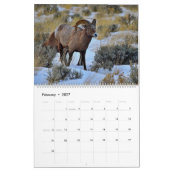 Noord-Amerikaans Wildlife Kalender (Feb 2027)