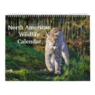 Noord-Amerikaans Wildlife Kalender