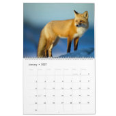 Noord-Amerikaans Wildlife Kalender (Jan 2027)