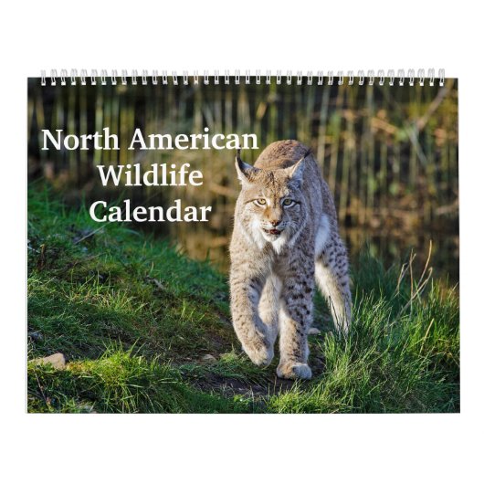 Noord-Amerikaans Wildlife Kalender (Hoes)