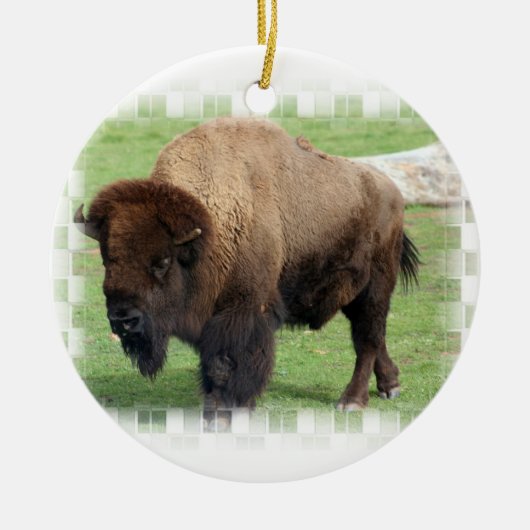 Noord-Amerikaanse Bison Ornament (Voorkant)