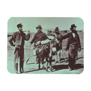 Noord-Amerikaanse goudgravers, c.1849 (foto) Magneet