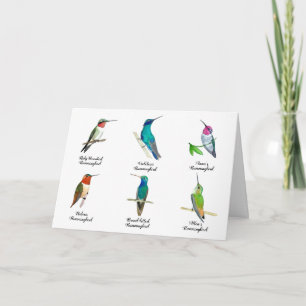 Noord-Amerikaanse Hummingbird Kaart