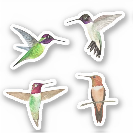 Noord-Amerikaanse mensvogels Sticker (Voorkant)