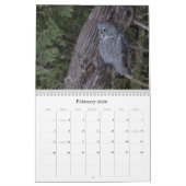 Noord-Amerikaanse muur 2019 kalender (Feb 2026)